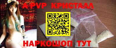 круглые Кингисепп