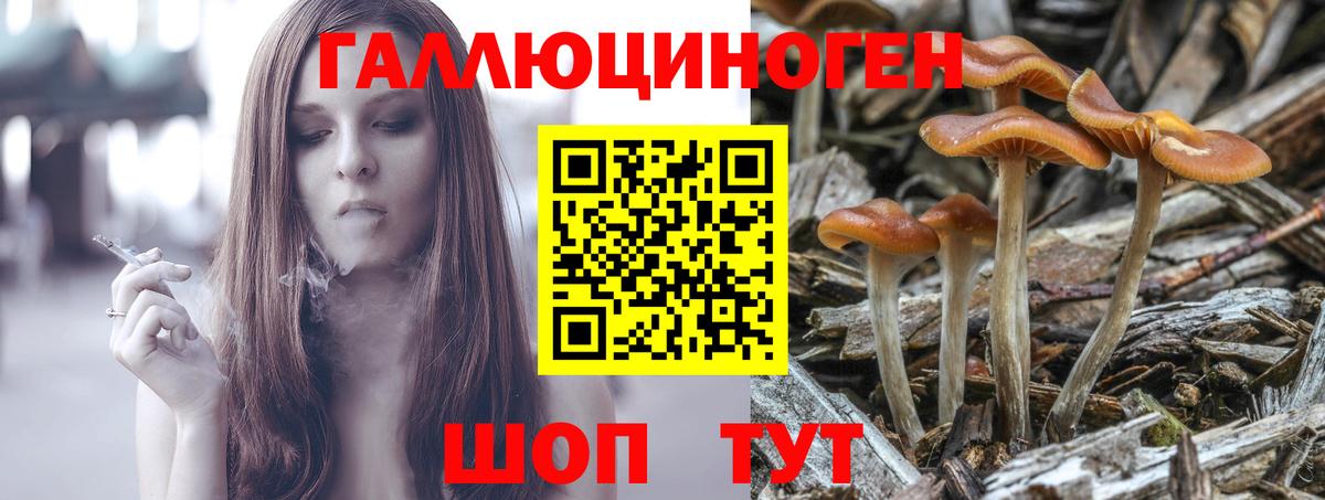 Псилоцибиновые грибы мицелий  Вход с VPN  что такое   Котовск 